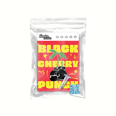 Black Cherry Punch Seed > Linda Seeds | Feminized Cannabis   |  Indica